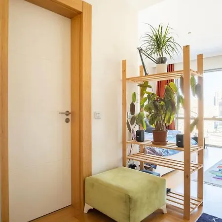 Your Bright-cozy&luxury